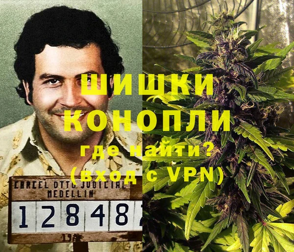 гашик Козельск