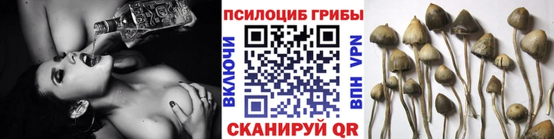 нарко площадка официальный сайт  Ивантеевка  Псилоцибиновые грибы Psilocybe 
